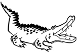 Alligator TM